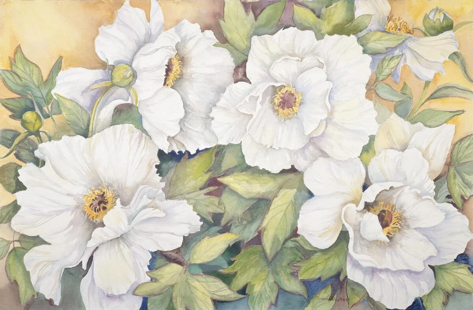 Ceramic Backsplash Tile Mural Floral Kitchen/Bathroom - Peonies Dressed In White - Image 1 of 1