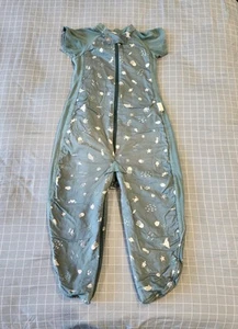 Ergopouch 1.0tog Sleeping Bag - Size 2-4 Years - Picture 1 of 4