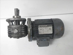 Carpanelli Motori M63B4 Elektromotor 0,25PS 1678U/min 208/360V (gebraucht und - Bild 1 von 8