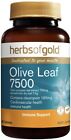 Olive Leaf 7500mg 60 Tabs Herbs of Gold