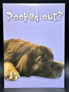 Get Well Soon Greeting Card w/Envelope - Picture 1 of 3