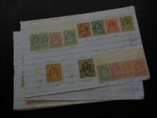 Cats Jordanian Stamps