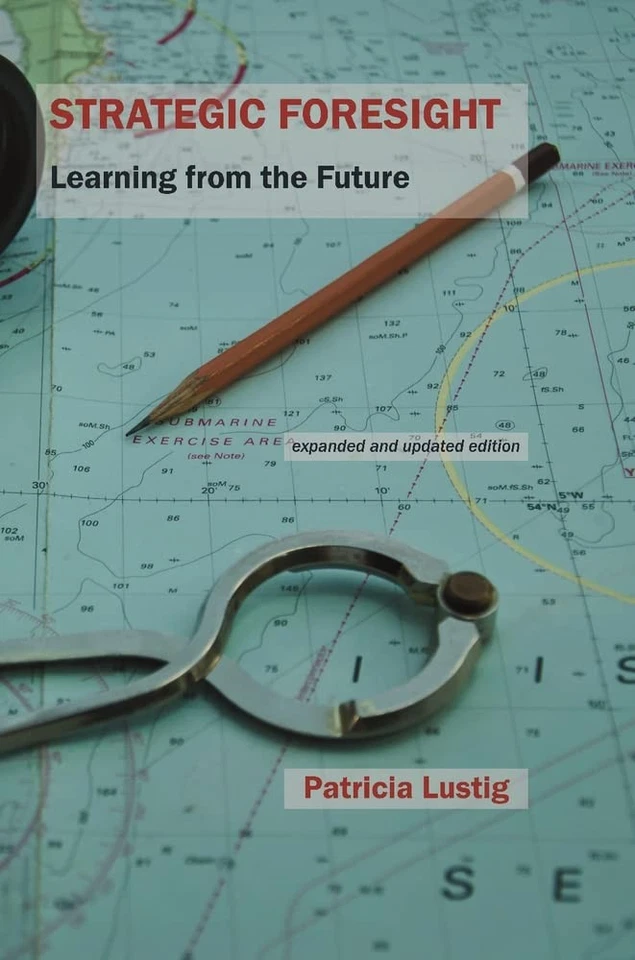 Strategic Foresight: Learning from the Future By Lustig, Patrici - Image 1 of 1