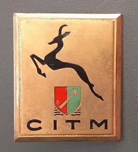CITM badge Alpine hunters 1st Army Rhine and Danube Austria ORIGINAL BADGE - Picture 1 of 2