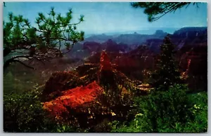 Vtg Arizona AZ Point Imperial Grand Canyon National Park 1950s View Postcard - Picture 1 of 2