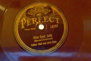 1925 78 rpm ARTHUR HALL John Ryan BLUE EYED SALLY color RED VINYL Perfect 12187 - Picture 1 of 4