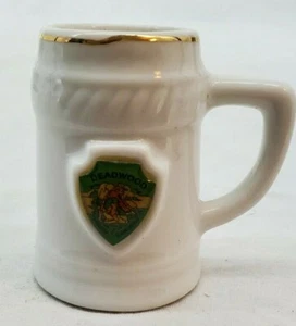 VINTAGE ~ Deadwood South Dakota ~ Ceramic Souvenir Toothpick Holder - Picture 1 of 10