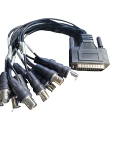 Neu Open Bag DB25 Stecker auf 12 BNC Digital Audio/Video Kabel - Bild 1 von 1