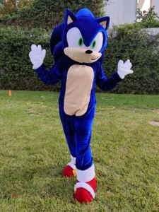 Mascot the Hedgehog Blue Mascot Costume cosplay botarga halloween cartoon - Picture 1 of 4
