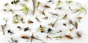 River & Stillwater Assorted Fly Selections - Trout Fly Fishing - Picture 1 of 19