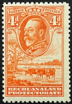 Bechuanaland, King George V with Cattle, 4 Pence, Scott 109, MNH, F-VF - Image 1 of 2