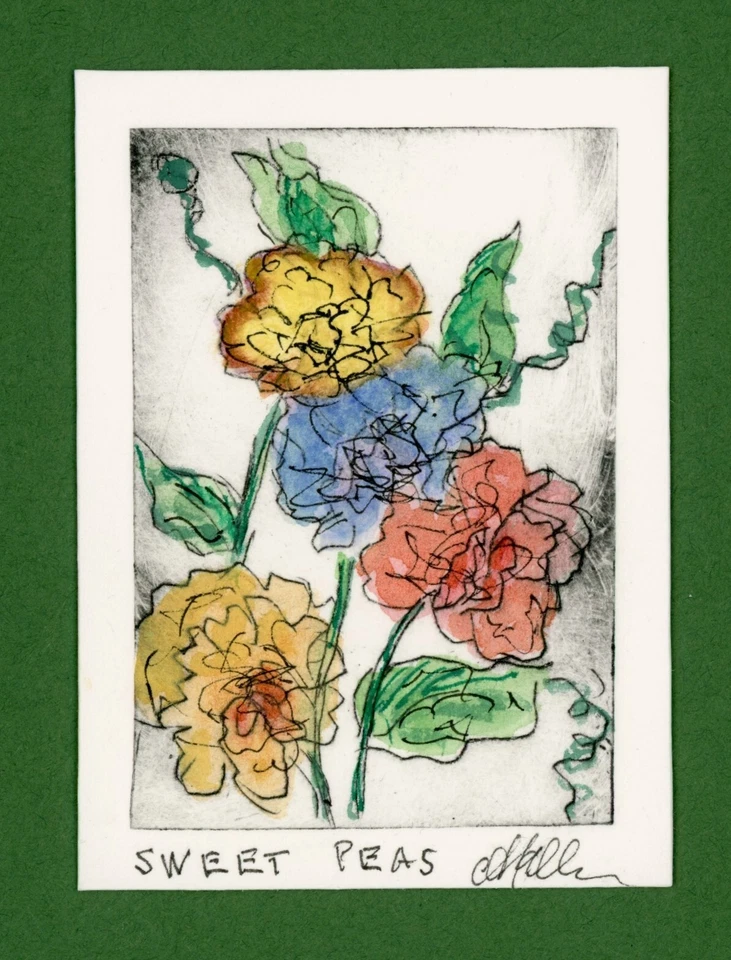 Flores de jardim ervilhas doces. Gravura botânica original em aquarela assinada - Imagem 1 de 1