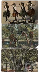 3 Vintage c1910 Hawaii HI Postcards~Hula Dancers, Banana Plantation, Banyan Tree - Picture 1 of 7