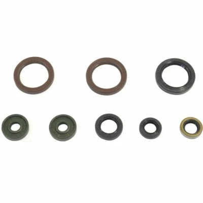 SERIE PARAOLIO ATHENA PER KTM 450 XC-W 2012-2013 Foto 1 de 3