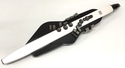 ROLAND Aerophone AE-20 AE20 Digital Wind Instrument Synthesizer NEW From Japan - Image 1 of 4