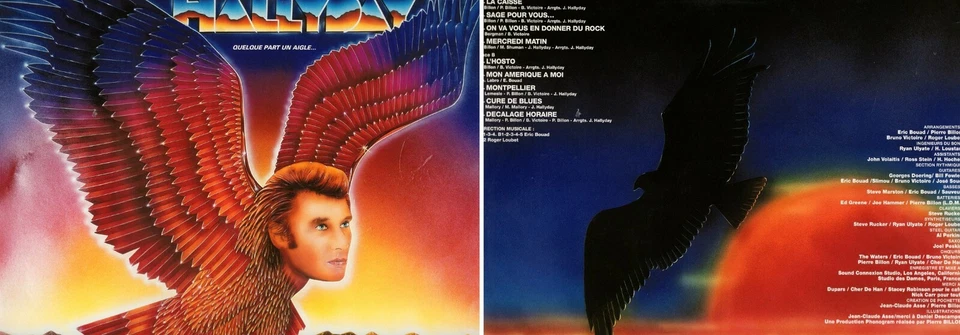 JOHNNY HALLYDAY, 33 tours Quelque part un aigle   - Photo 1/1