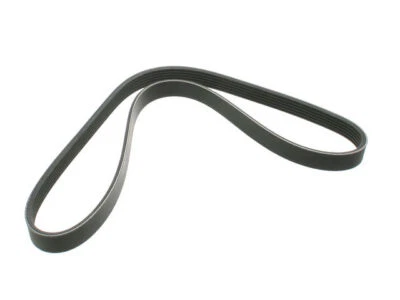 Cinturón multi costilla para Dodge Intrepid 1998-2004 21658GCFT 1999 2000 2001 2002 2003 Foto 1 de 2