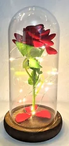Campana cupola Rosa eterna - bella e la Bestia Con Led - Regalo San Valentino - Foto 1 di 7