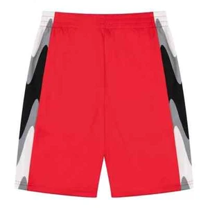 NEW Champion Big Boys Wavy Box Script Panel Shorts, RED, Size  XL, Free Ship - Picture 1 of 3