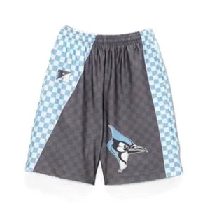 Fit 2 Win Mens Basketball Shorts Johns Hopkins Blue Jays Sublimated 8" Dryflex - Picture 1 of 4