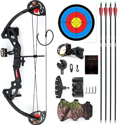 15-29lbs Pro Compound Bow Right Hand Bow Kit Archery Arrow Target Hunting Set US