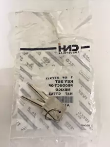 SET OF 2 KEY CNH 4210 4230 4240 4490 4494 4690 4694 4890 4894 4994 5120 5130 - Picture 1 of 2