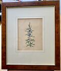 Antique Botanical Flowers Hand Coloured Engraving in Walnut Frame Ex-Condition