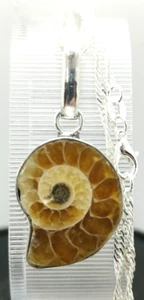 Prehistoric Calcite Crystal Ammonite Silver Pendant Sterling Chain Necklace(24K) - Bild 1 von 11