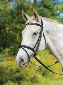 Shires Avignon Louisville Bridle - Picture 1 of 6