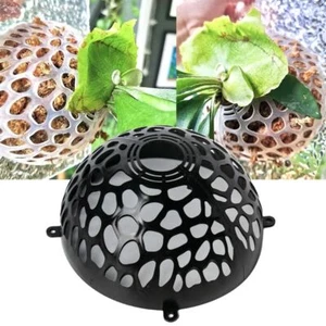 Transparent Plants Soil Protector Cover for Flower Lovers - Picture 1 of 15