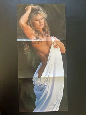 Póster de colección WWF RAW Tori de la revista WWE Sexy Diva 24" x 10,5" triple Foto 1 de 4