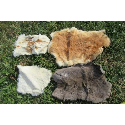 4 PIEZAS Piel de Conejo Real Piel Piel Piel Natural Suave Bronceado Hágalo Usted Mismo Artesanía Foto 1 de 4