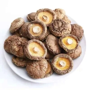 Dried Shiitake Mushrooms Wooden Natural Kitchen Food Natural Fungus - Picture 1 of 9
