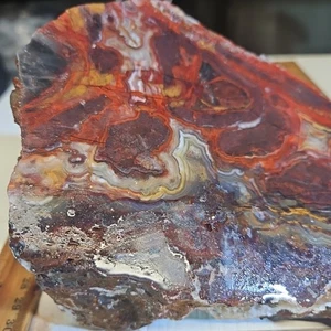 laguna spitze achat grob. Feuerwehr Rot und Gold Farben, 5lbs 7,7oz. - Bild 1 von 24