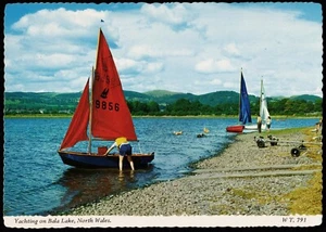 Yachting On Bala Lake Dogs In The Lake North Wales Bamforth Postcard - Picture 1 of 2