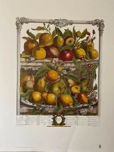 Fruits of the Month (April) by Furber - Picture 1 of 1
