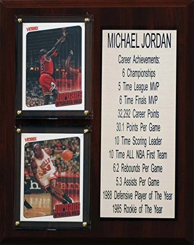 NBA 6"X8" Michael Jordan Chicago Bulls Career Stat Plaque Cover
