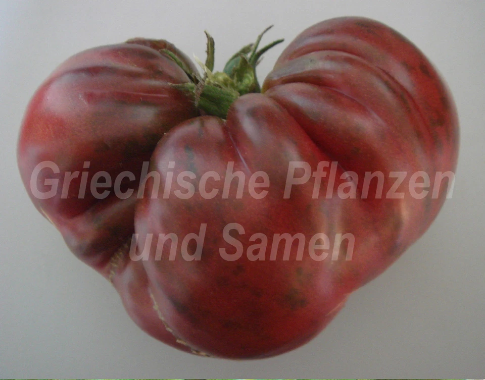 🔥 Tomates variedades históricas antiguas 10 semillas tomate también variedades tolerantes al frío - Imagen 1 de 1