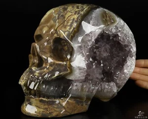 Lebensgroßer 7,7 Zoll Dinosaurier Ei Achat Amethyst Geode Kristallschädel, super realistisch - Bild 1 von 10