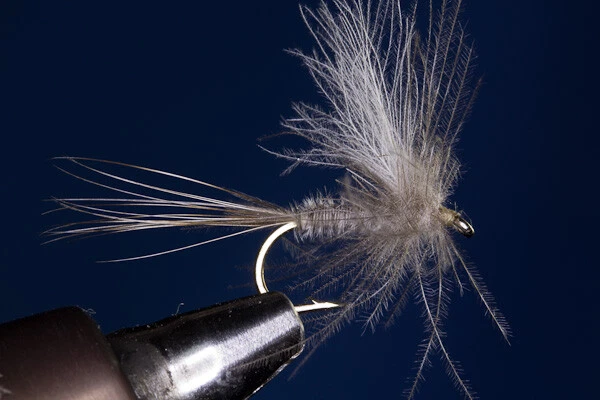 Fliegentom Trockenfliege - 3 Stück graue CDC-Dun mit Fiberkörper - Bild 1 von 1