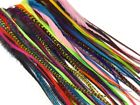 30 Pieces - Wholesale XL Thick Long Mix Whiting Farm Rooster Saddle Hair Feather