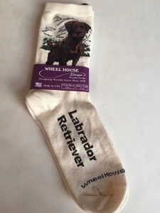 Wheel House Designs Schokolade Labrador Designer Hunderasse Socken ~ NEU mit Etikett ~ - Bild 1 von 4