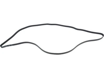 For 2007-2012 Kia Rondo Multi Rib Belt API 82486DS 2009 2008 2010 2011 - Image 1 of 2