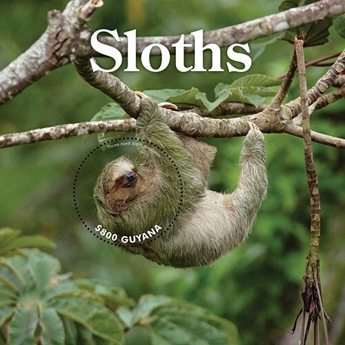 Guyana 2020 - Sloths - Animals - Souvenir Stamp Sheet - Scott #4625 - MNH - Image 1 of 1