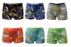 6 Stück Jungen Boxershorts Unterhosen Unterwäsche Slip Baumwolle Gr.110 bis 164  - Bild 1 von 9