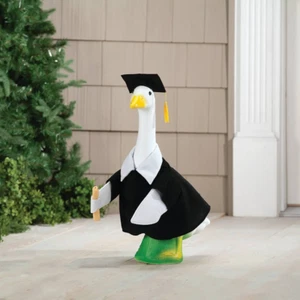Graduation Outfit Costume for 23" Goose Diploma Cap Gown tassel Porch Decor - Picture 1 of 6