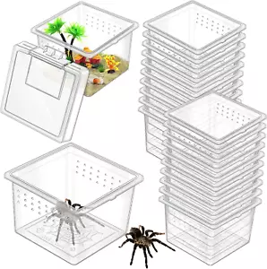 20 Pcs Insect Spider Terrariums Breeding Box Small Reptile Hatching Container Tr - Picture 1 of 7