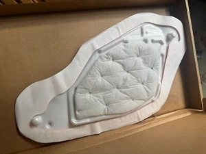Panel sellado puerta delantera derecha peugeot 2008 9825974680 nuevo original - Imagen 1 de 6