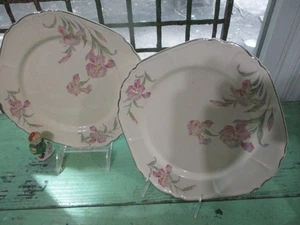 Universal Cambridge Iris Square Plates - Picture 1 of 3