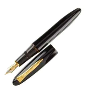 Platinum Tamenuri  Biwatame fountainpen PIZ-55000 M  Nib - Picture 1 of 4